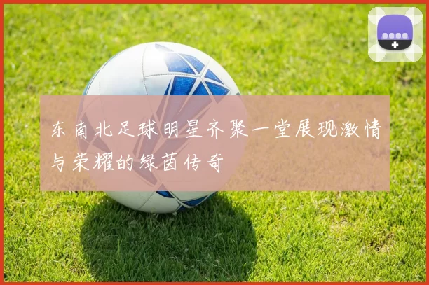 东南北足球明星齐聚一堂展现激情与荣耀的绿茵传奇