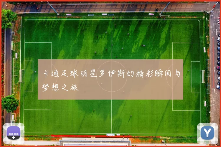 卡通足球明星罗伊斯的精彩瞬间与梦想之旅