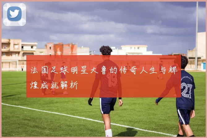 法国足球明星大鲁的传奇人生与辉煌成就解析