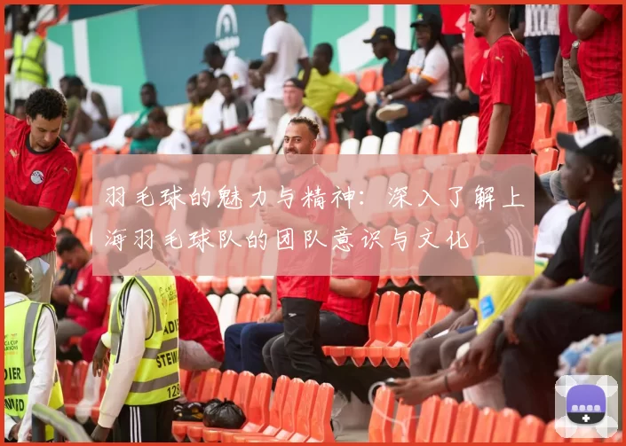 羽毛球的魅力与精神：深入了解上海羽毛球队的团队意识与文化