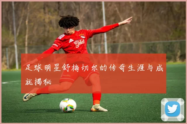 足球明星舒梅切尔的传奇生涯与成就揭秘