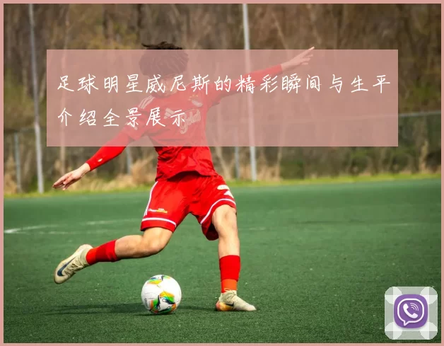 足球明星威尼斯的精彩瞬间与生平介绍全景展示