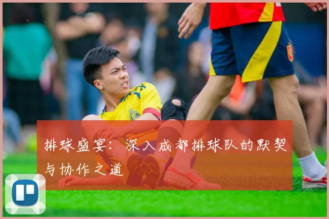 排球盛宴：深入成都排球队的默契与协作之道
