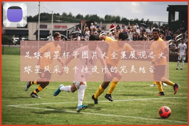 足球明星杯子图片大全集展现各大球星风采与个性设计的完美结合