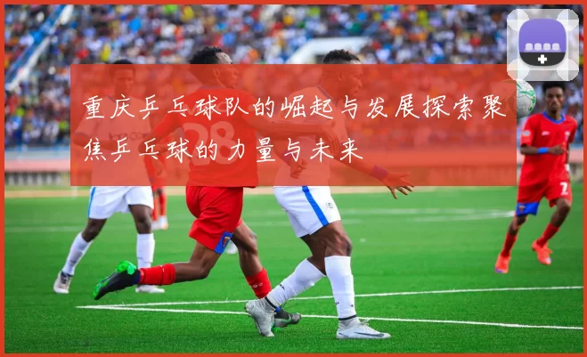 重庆乒乓球队的崛起与发展探索聚焦乒乓球的力量与未来