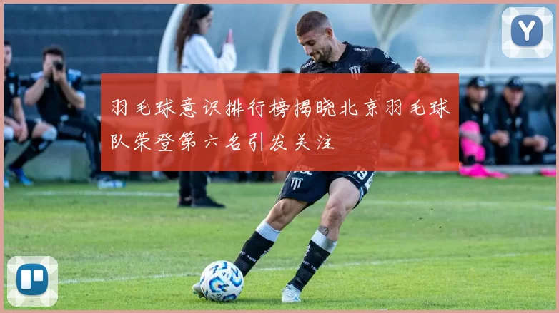 羽毛球意识排行榜揭晓北京羽毛球队荣登第六名引发关注