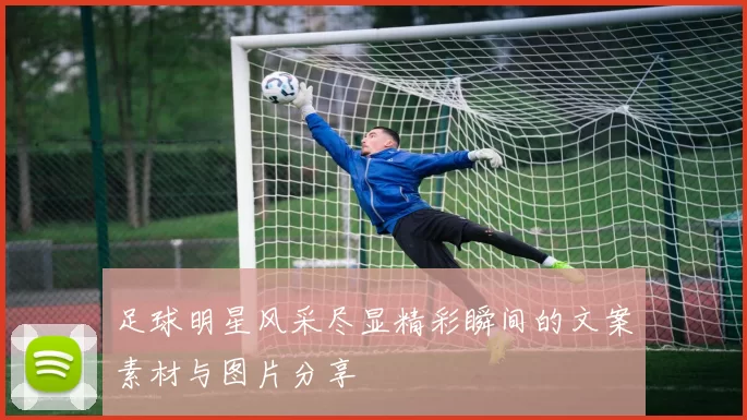 足球明星风采尽显精彩瞬间的文案素材与图片分享