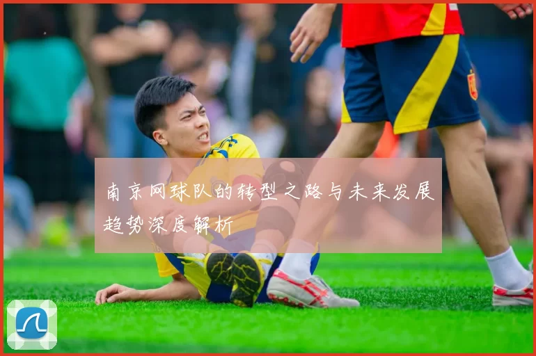 南京网球队的转型之路与未来发展趋势深度解析