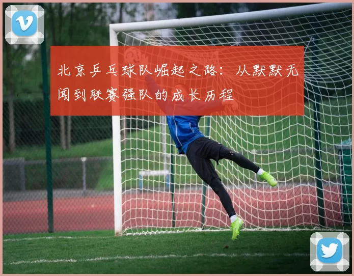 北京乒乓球队崛起之路：从默默无闻到联赛强队的成长历程