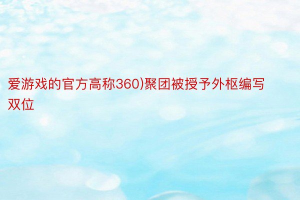 爱游戏的官方高称360)聚团被授予外枢编写双位